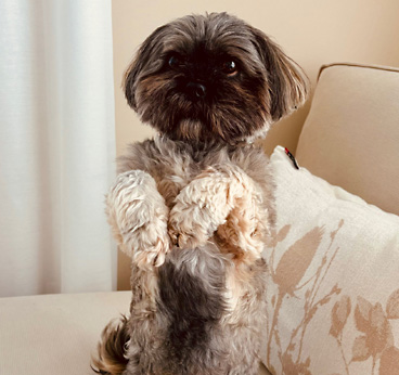 Bildergalerie: Bella